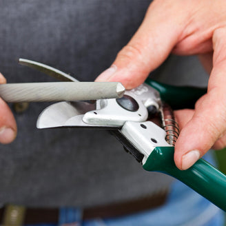 Professional Compact Bypass Secateurs