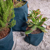 Waxed Canvas Cache Pot (4651972755516)