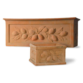 Citrus Troughs (4649534783548)