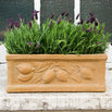 Citrus Window Box (4649535832124)