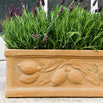 Citrus Window Box (4649535832124)