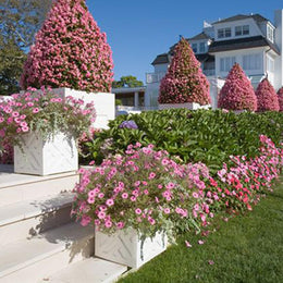 Chippendale Planters