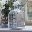 Demijohn Glass Jar (4650494525500)