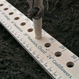 Seed and Plant Spacing Ruler & Dibblet Set