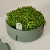 Microgreens Magic Planter (7144414347324)