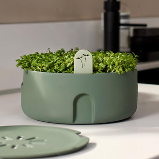 Microgreens Magic Planter (7144414347324)