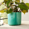 Pacific Green Recycled Ocean Plant Pots (7149966458940)