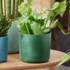 Pacific Green Recycled Ocean Plant Pots (7149966458940)