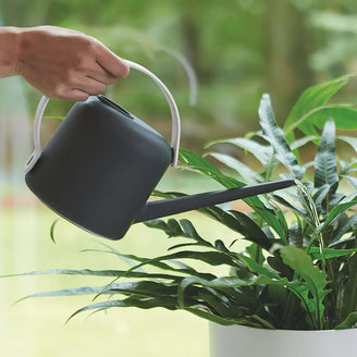 Urban Watering Can