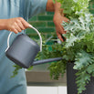 Urban Watering Can