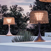 Ambient Mesh Solar Table Lamp (4652121751612)