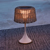 Ambient Mesh Solar Table Lamp (4652121751612)