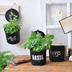 Hanging Pot of Herbs (4649630859324)