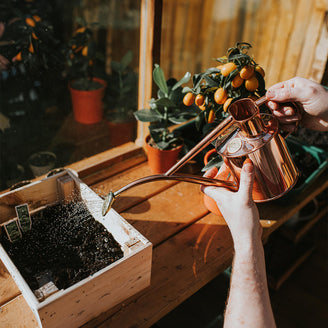 Haws Copper Indoor Watering Can (4649783328828)