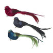 Fancy Festive Feather Bird Decorations (7152916725820)