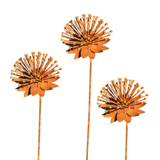 Rusted Echinacea Flower (4651953586236)