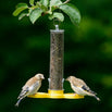 Goldfinch Finder Feeder (4647945240636)