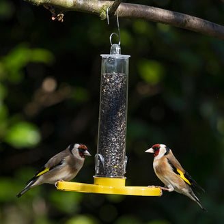 Goldfinch Finder Feeder (4647945240636)