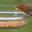 I Love Robin Bird Food (4647944486972)