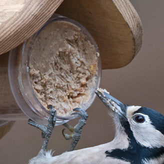 Peanut Butter for Birds (4653052264508)