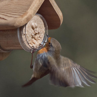 Peanut Butter for Birds (4653052264508)