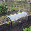 Kitchen Garden Cloche (4650111336508)