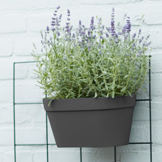 Urban Display Duo Wall Pot (4652604883004)