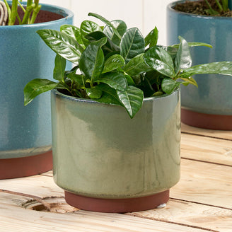 Speckled Glaze Green Indoor Planter (4652488851516)