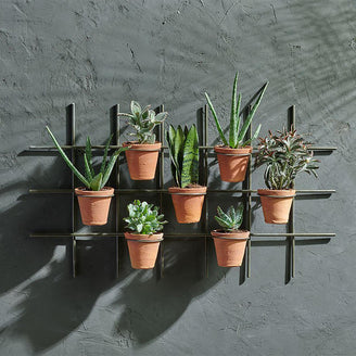 Wire Wall Frame with Pots (4688058318908)