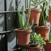 Wire Wall Frame with Pots (4688058318908)