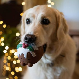 Christmas Figgy Pudding Dog Toy (7155329859644)