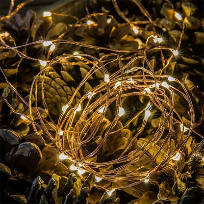 String Lights