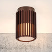 Aludra Outdoor Ceiling Light (7134298800188)