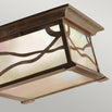 Morris Outdoor Wall/Ceiling Lanterns (6873243615292)