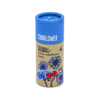 Tube of Single Species Wildflower Seeds (7151384494140)