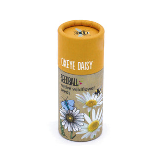 Tube of Single Species Wildflower Seeds (7151384494140)