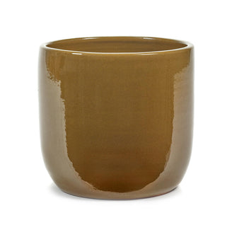 Mustard Glazed Indoor Plant Pot (7088137240636)