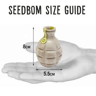 Seedbom Pollinator Beebom (4653407993916)