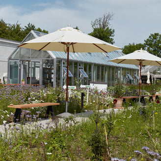 Atlantis Round Parasols (4650629398588)