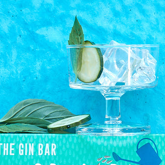 The Gin Bar Seeds (6952933720124)