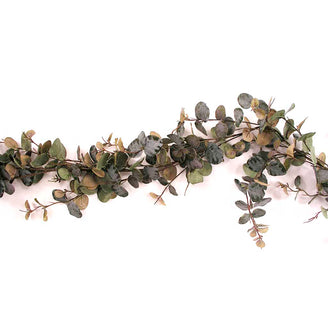 Eucalyptus Garland (4648595030076)