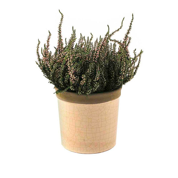 Glazed Herb Pot (4648597127228)