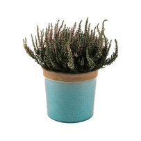 Glazed Herb Pot (4648597127228)