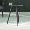 Leo Side Table (4649719824444)