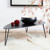 Rozy Coffee Table (4653141000252)