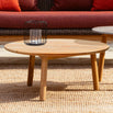 Anton Coffee Table (4653089259580)