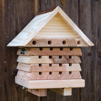 Flip Top Solitary Bee Hive (4651900403772)