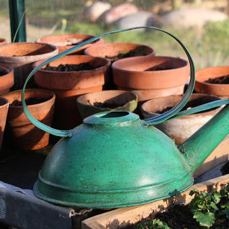 Rustic Painted Greenhouse Watering Can (7117854572604)