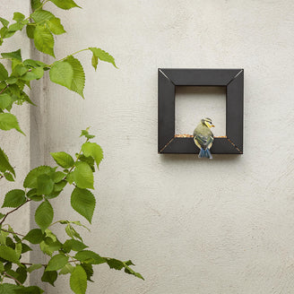 Picture Frame Bird Feeder (6889485893692)